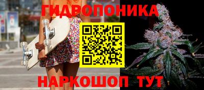 спайс Гай