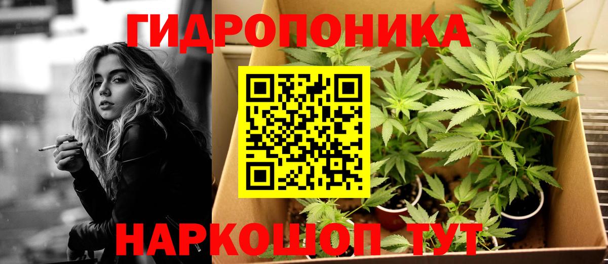 Конопля Ganja  Шишки марихуана планчик  Мурманск  Вход с VPN  Марихуана Bruce Banner 